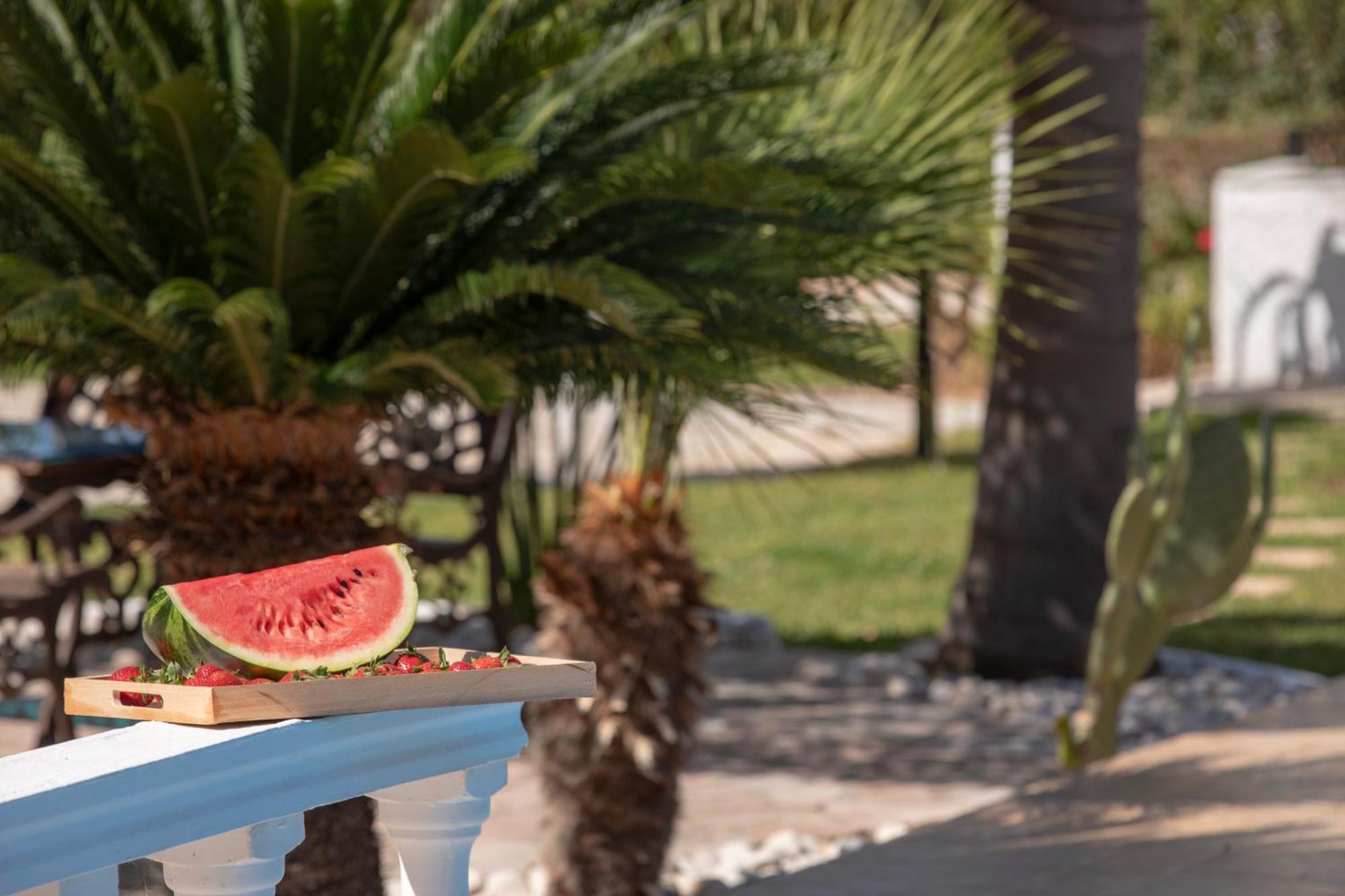 Villa Dimitris Apartments & Bungalows Frínion 外观 照片