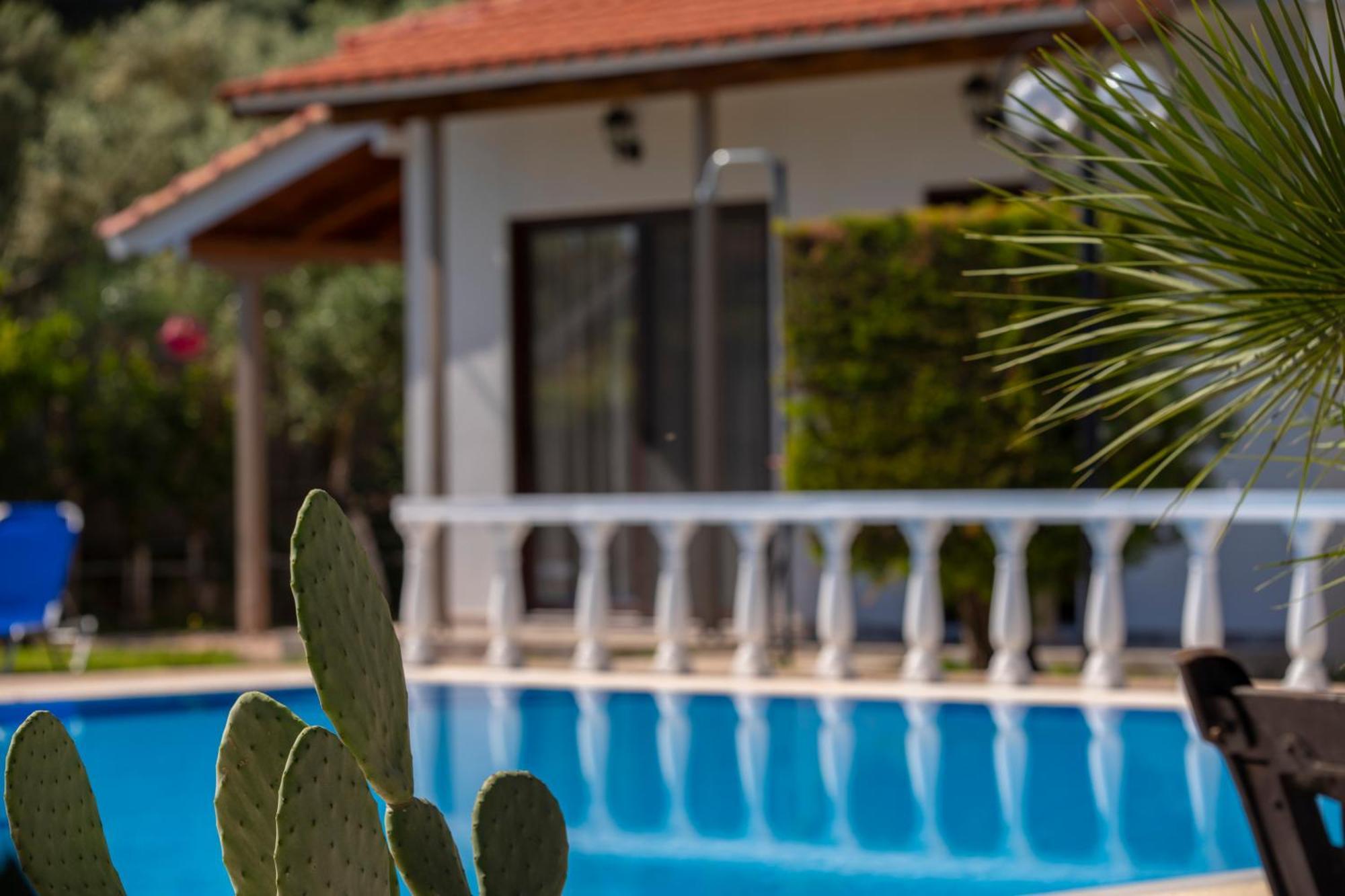 Villa Dimitris Apartments & Bungalows Frínion 外观 照片